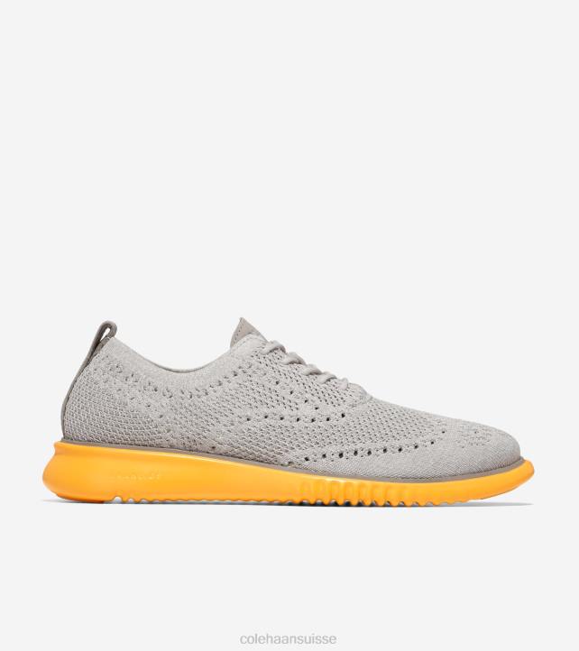 Cole Haan 2.zerogrand oxford Hommes PJ6N274 point de fusion bouleau argenté-paloma-or chaussure