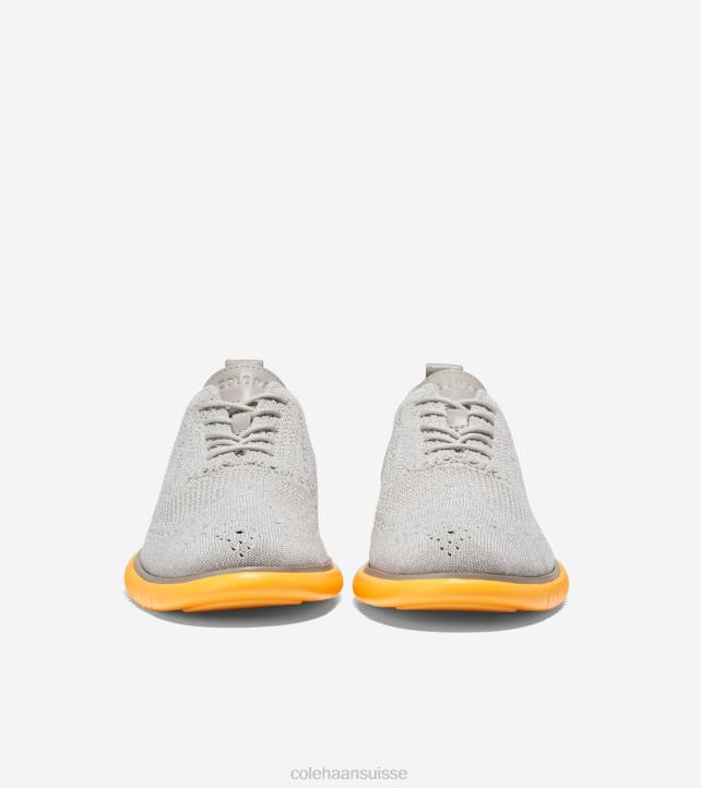 Cole Haan 2.zerogrand oxford Hommes PJ6N274 point de fusion bouleau argenté-paloma-or chaussure