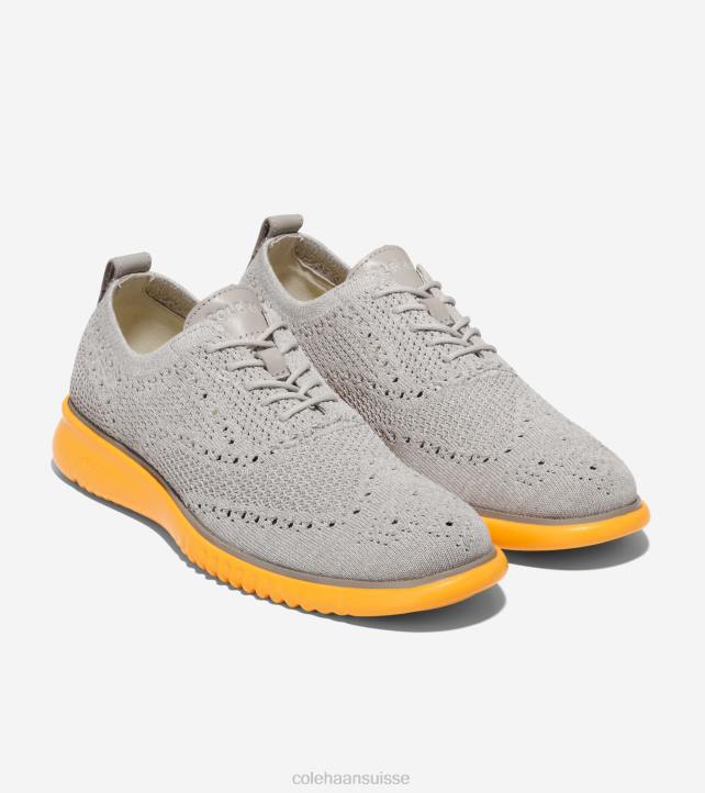 Cole Haan 2.zerogrand oxford Hommes PJ6N274 point de fusion bouleau argenté-paloma-or chaussure